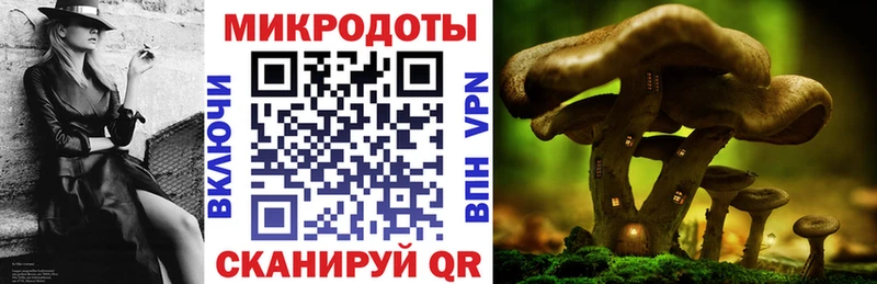 площадка как зайти наркошоп Сухой Лог Галлюциногенные грибы ЛСД