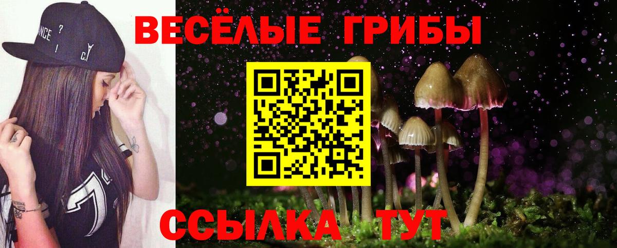 Сухой Лог  Псилоцибиновые грибы Psilocybine cubensis  магазин продажи   Вход с VPN 